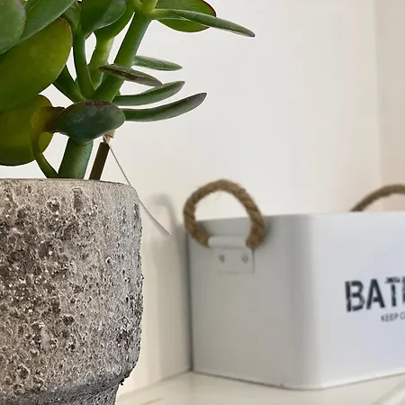 Casa Verdura דירה פלרמו