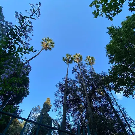 Casa Verdura דירה פלרמו